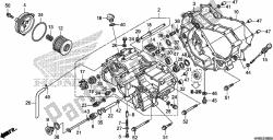 FRONT CRANKCASE COVER