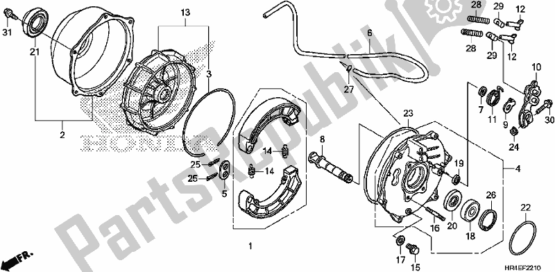 All parts for the Rear Brake Panel of the Honda TRX 500 FM2 2017