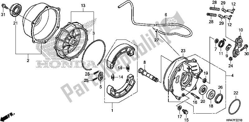 All parts for the Rear Brake Panel of the Honda TRX 500 FM2 2018