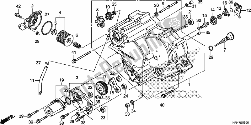 All parts for the Front Crankcase Cover of the Honda TRX 500 FM2 2019