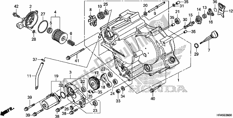 All parts for the Front Crankcase Cover of the Honda TRX 520 FE2 2020