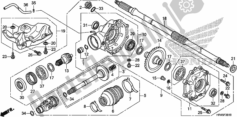 All parts for the Rear Final Gear of the Honda TRX 520 FM1 2019