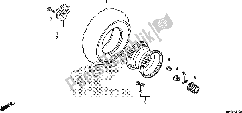 All parts for the Rear Wheel of the Honda TRX 520 FM1 2019