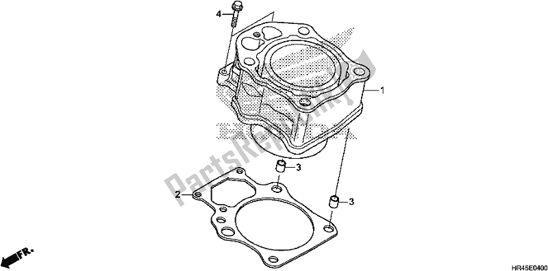 Alle onderdelen voor de Cilinder van de Honda TRX 520 FM2 2020