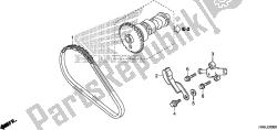 CAM CHAIN/TENSIONER