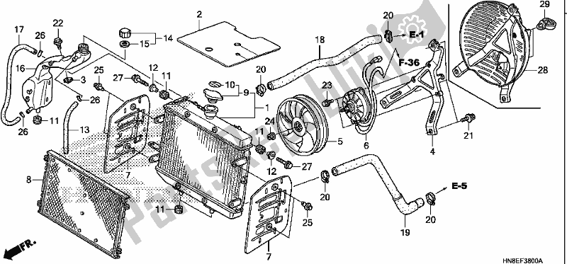 Tutte le parti per il Termosifone del Honda TRX 680 FA 2019