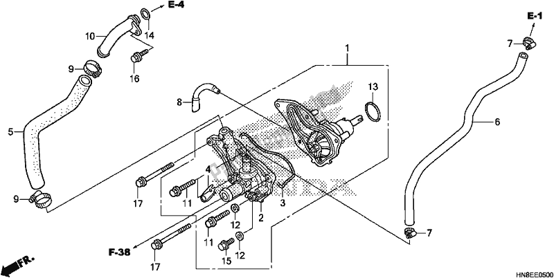 Tutte le parti per il Pompa Dell'acqua del Honda TRX 680 FA 2019