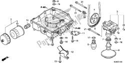 Oil Pan/oil Pump