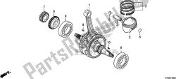 CRANKSHAFT/PISTON