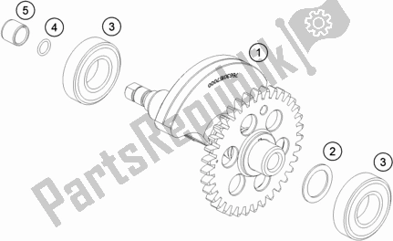 All parts for the Balancer Shaft of the Husqvarna 701 Supermoto EU 2018