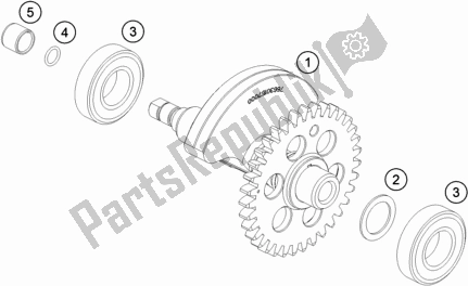 All parts for the Balancer Shaft of the Husqvarna Svartpilen 701 Style EU 2019