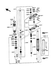 forcella anteriore