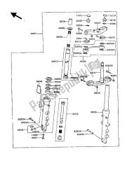 forcella anteriore