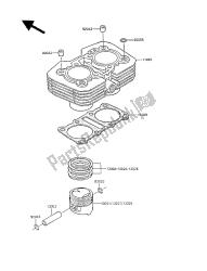 CYLINDER & PISTON(S)