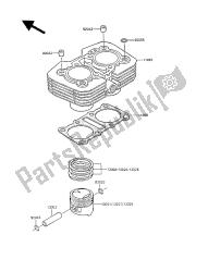 CYLINDER & PISTON(S)