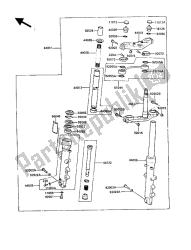 forcella anteriore