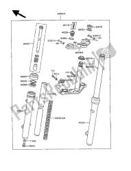 forcella anteriore