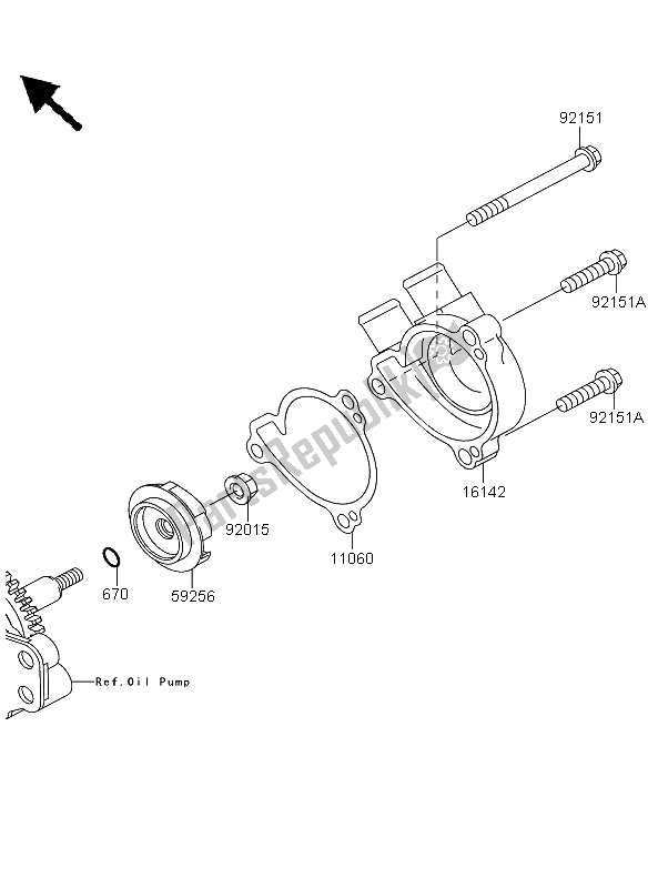 All parts for the Water Pump of the Kawasaki KLX 250 2009