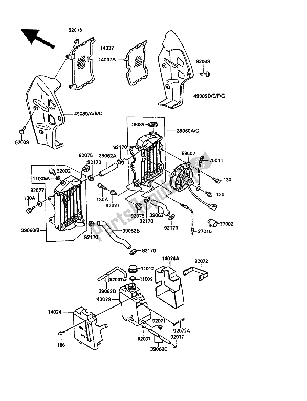 All parts for the Radiator of the Kawasaki KLR 250 1989