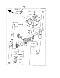 forcella anteriore