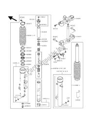 forcella anteriore