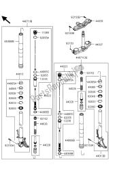 forcella anteriore