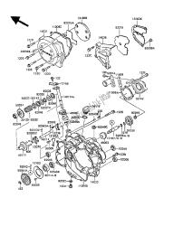 capot (s) moteur