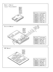 MANUAL (EU)