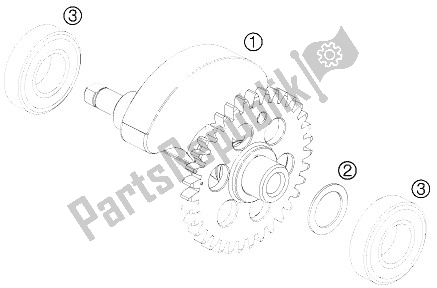 All parts for the Balancer Shaft of the KTM 690 Enduro R 09 Europe 2009