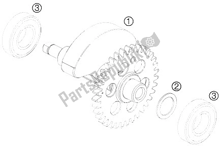 All parts for the Balancer Shaft of the KTM 690 SMC R ABS Europe 2015