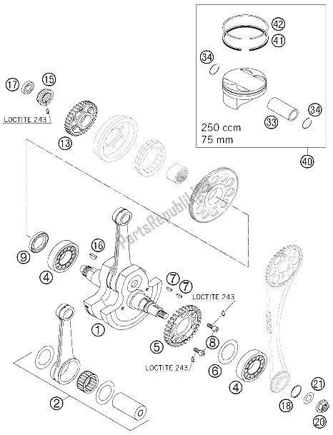 All parts for the Crankshaft, Piston of the KTM 250 EXC Racing Europe 2006