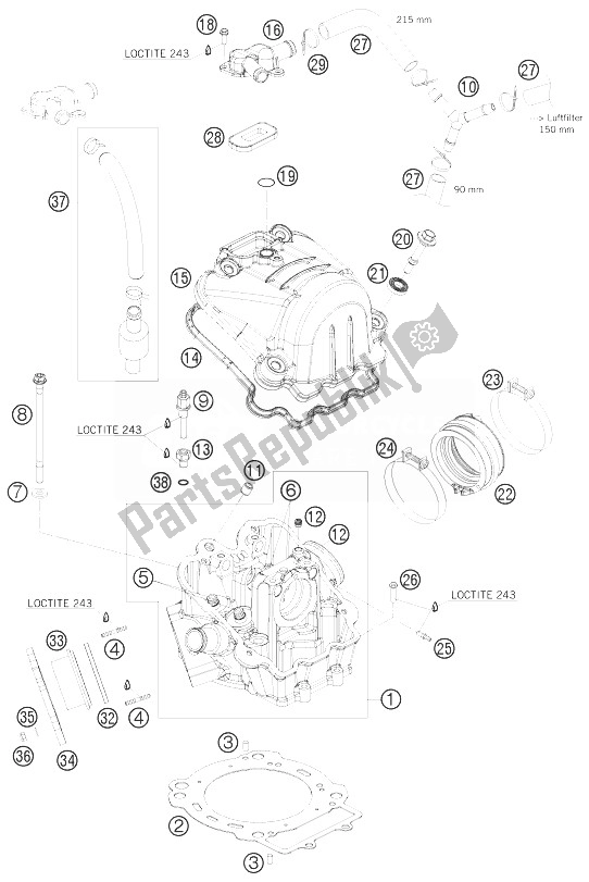 Tutte le parti per il Testata del KTM 690 Rally Factory Replica Europe 2010