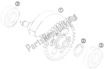 All parts for the Balancer Shaft of the KTM 690 Duke Black ABS Australia 2013