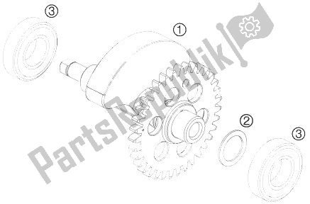 All parts for the Balancer Shaft of the KTM 690 Duke R ABS Europe 2013