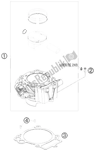 Toutes les pièces pour le Cylindre du KTM 690 Supermoto LIM ED Europe 2009