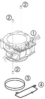 Tutte le parti per il Cilindro del KTM 505 SX F Europe 2008