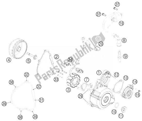 Todas as partes de Sistema De Ignição do KTM 250 EXC F SIX Days Europe 2013