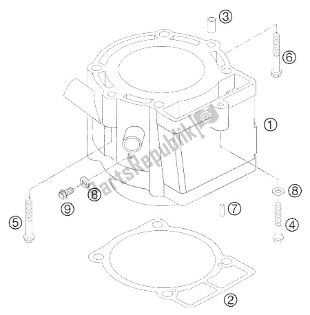 All parts for the Cylinder of the KTM 450 SX Europe 2006