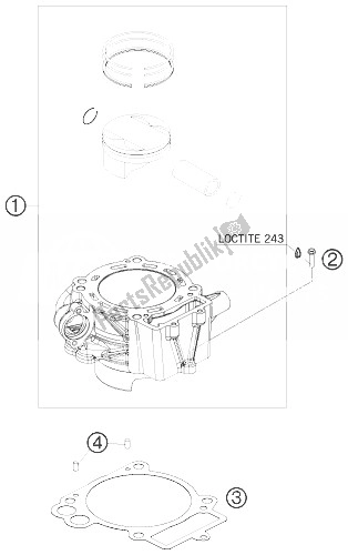 Tutte le parti per il Cilindro del KTM 690 Duke Orange India 2010