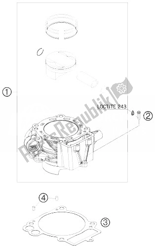 All parts for the Cylinder of the KTM 690 Duke R Europe 2010
