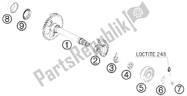 All parts for the Balancer Shaft of the KTM 400 EXC Factory Edit Europe 2011