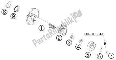 All parts for the Balancer Shaft of the KTM 450 EXC Factory Edit Europe 2011