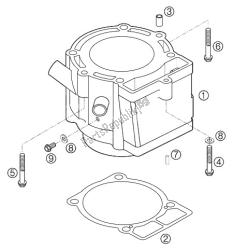 cilinder 450 sx