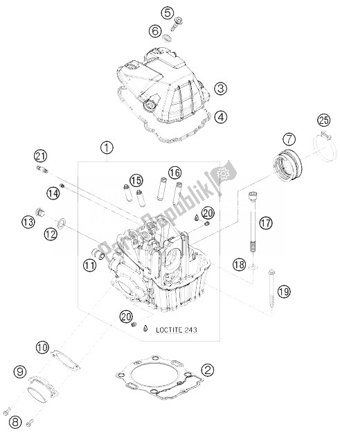 All parts for the Cylinder Head of the KTM 450 EXC Champion Edit USA 2010