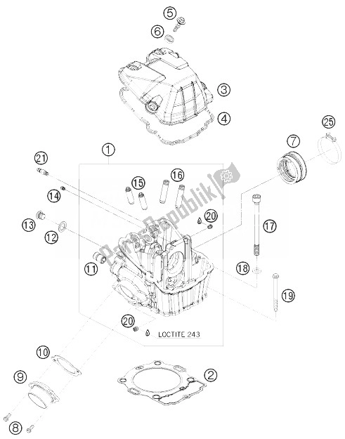 All parts for the Cylinder Head of the KTM 530 EXC Champion Edit USA 2010