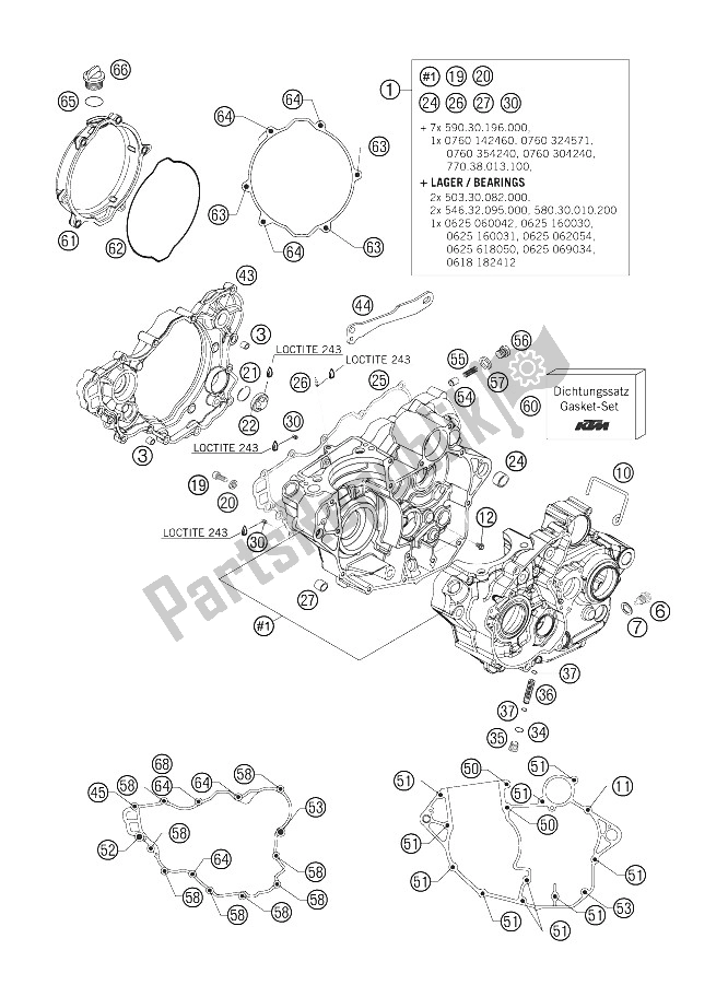 Tutte le parti per il Cassa Del Motore del KTM 250 EXC F Europe 2006