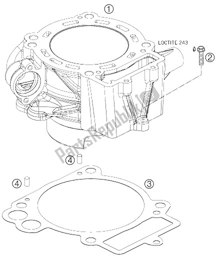 All parts for the Cylinder of the KTM 690 Rally Factory Replica Europe 2008