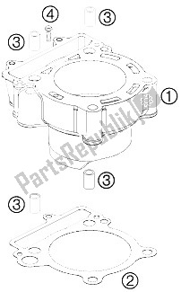 All parts for the Cylinder of the KTM 250 EXC F Europe 2009