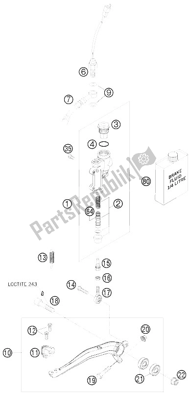 Alle onderdelen voor de Achterremcontrole van de KTM 530 EXC Europe 2011