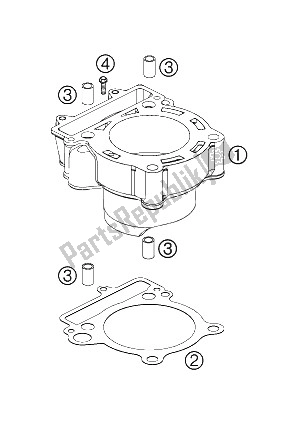 All parts for the Cylinder of the KTM 250 EXC F Australia 2008